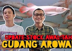 Demo Arowana Rupiah 2024 Terbaru Indonesia Terbaru